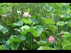 LanTu TREE Voyah carro livre Voyah SUV carro elétrico 520KM carregamento rápido 0.5H