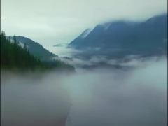 Voyah livre SUV carro elétrico